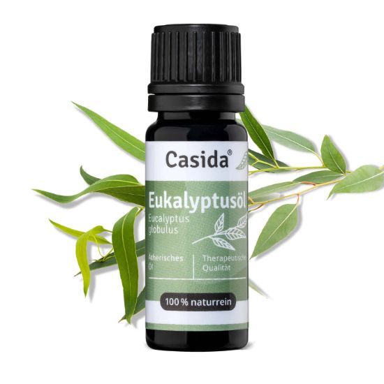 صورة Eucalyptus Oil - B2B
